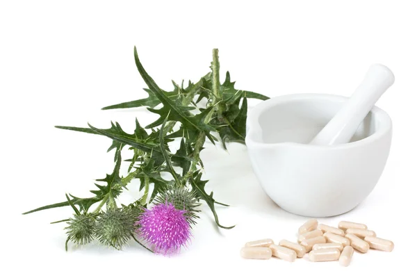 Capsules of milk thistle — Stock Photo, Image