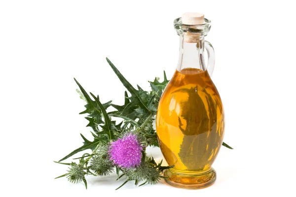 Milk thistle oil — Stock Photo, Image