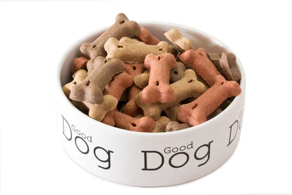 Ciotola di cibo per cani — Foto Stock