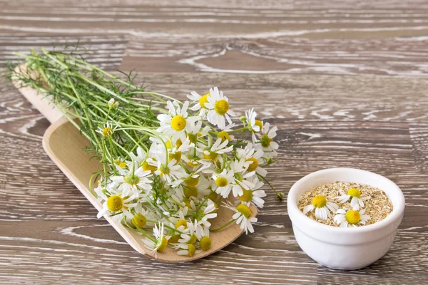 Chamomile on a scoop — Stock Photo, Image