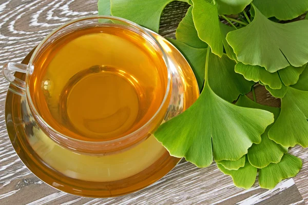 Ginkgo tea with fresh leaves — Stock Photo, Image