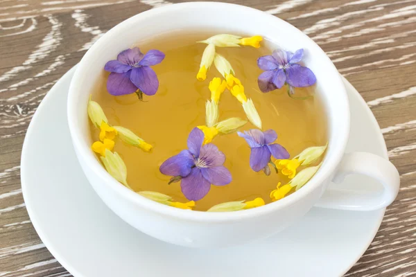 Hosta te med violet och cowslip — Stockfoto