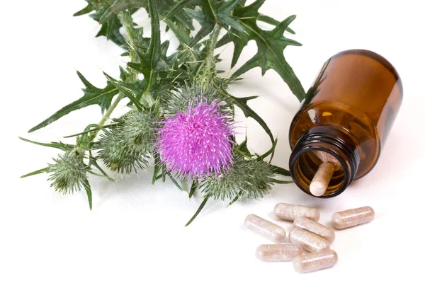 Milk thistle capsules — Stock Photo, Image