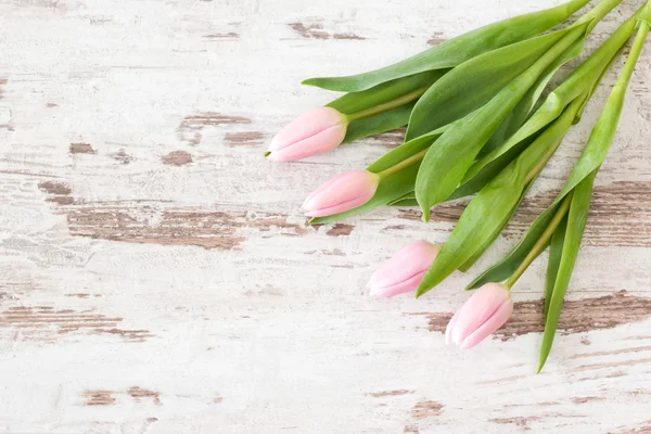 Pink tulips on wooden background — Stock Photo, Image