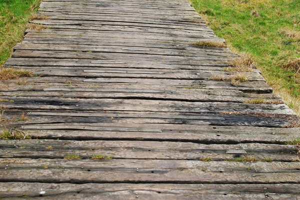 Caminho de madeira — Fotografia de Stock