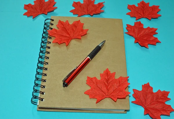 Back to school-notebook and pen — Stock Photo, Image