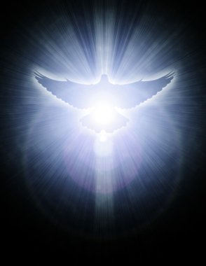 shining dove with rays on a dark