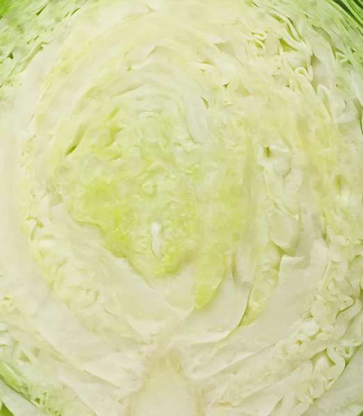 Cut heads of fresh cabbage — Stock Photo, Image