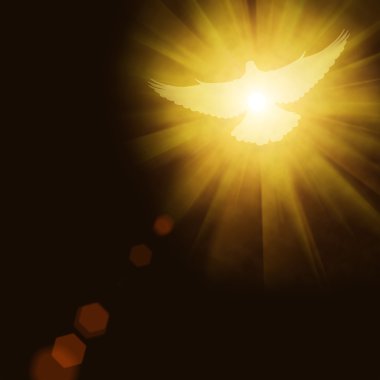 shining dove with rays on a dark clipart