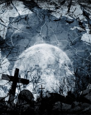 gece uçan yarasalar