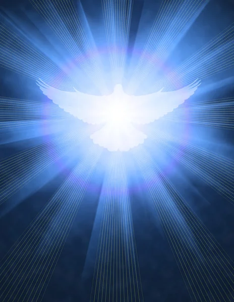 Shining dove with rays on a dark — Stock Photo, Image