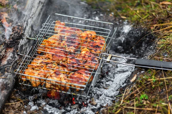 Chicken shashlik on grill — Stock Photo, Image