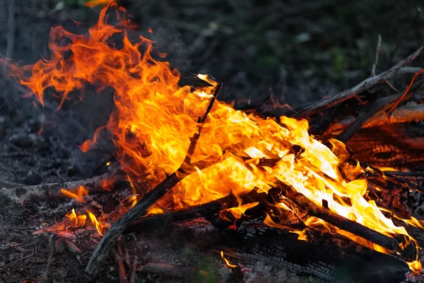 Campfire in the evening — Stock Photo, Image