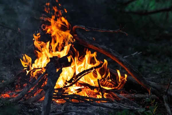 Nahaufnahme vom lodernden Lagerfeuer — Stockfoto