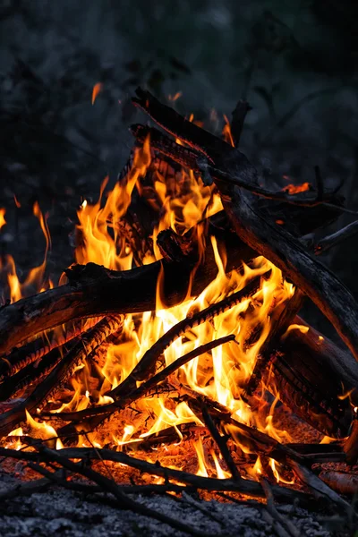 Carvões de fogueira em chamas — Fotografia de Stock
