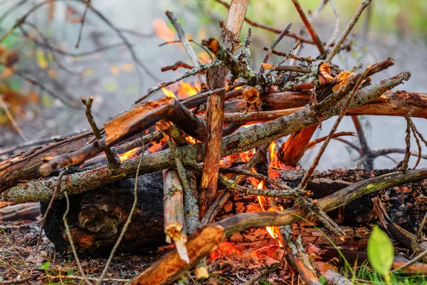 Closeup of campfire — Stock Photo, Image