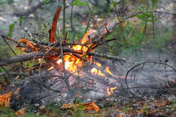 Nahaufnahme der Flamme am Lagerfeuer — Stockfoto