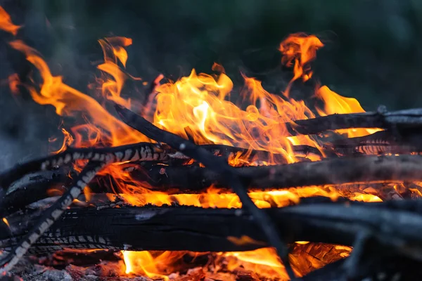 Closeup of blazing campfire coals — Stock Photo, Image