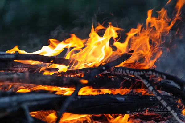 Closeup of campfire — Stock Photo, Image
