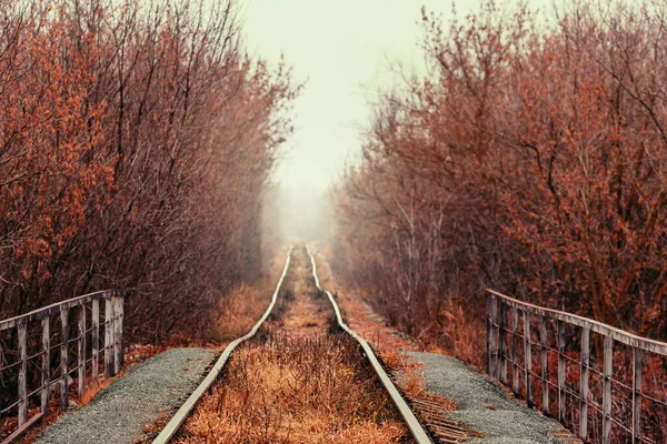 Empty Abandoned Railway Path Goes Forest Hazy Distance — Stock Photo, Image