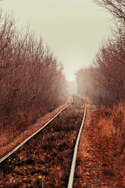 Empty Abandoned Railway Path Goes Forest Hazy Distance — Stock Photo, Image