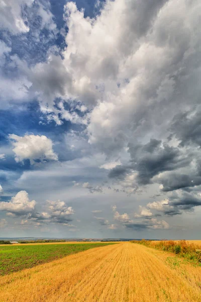 초원과 구름낀 하늘의 — 스톡 사진