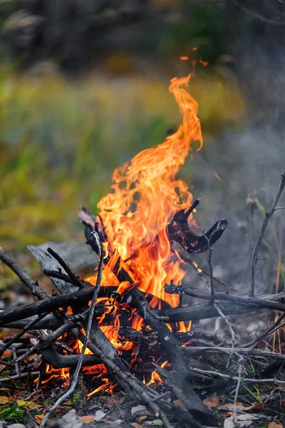 Feu de camp — Photo