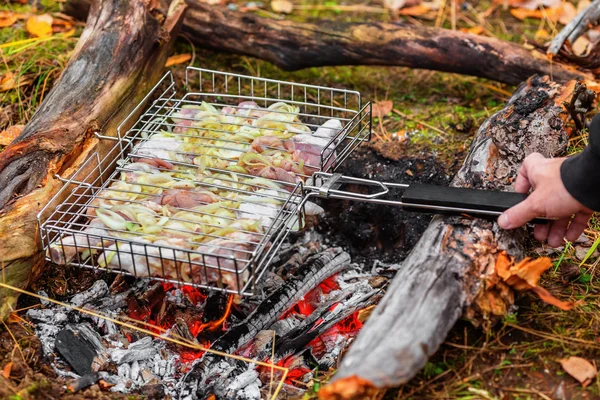 Kyckling shashlik — Stockfoto