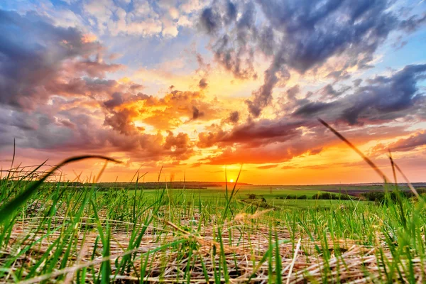 Puesta de sol sobre la llanura — Foto de Stock