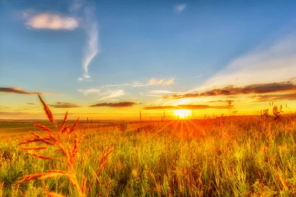 Meadow, evening sky and sunset — Stock Photo, Image