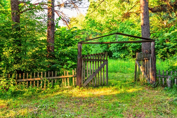 Старые деревянные ворота в лесу — стоковое фото
