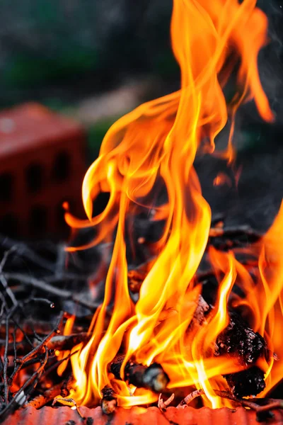 Lägereld — Stockfoto