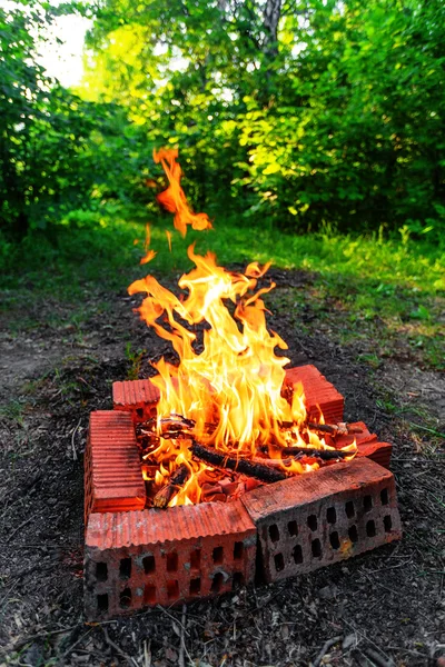 Lägereld — Stockfoto