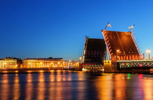 St. Petersburg/Rusya - 05 Ağustos 2015: Palace bridge — Stok fotoğraf