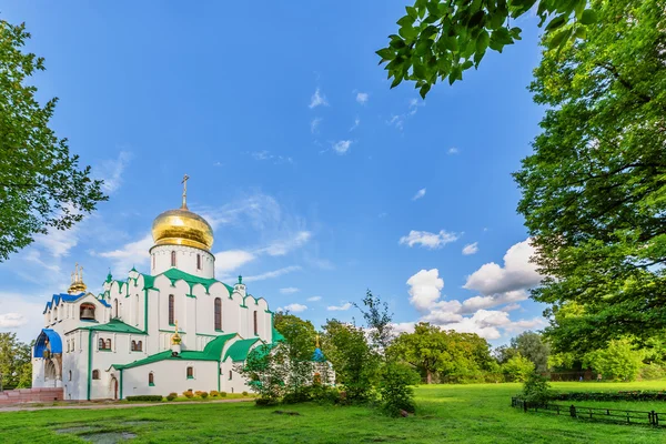 Fedorovskiy собор у Пушкіна в літній день — стокове фото