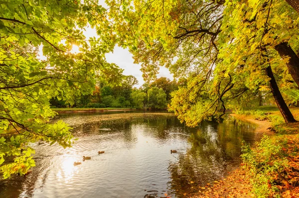 エラーギン島の美しい秋の公園 — ストック写真
