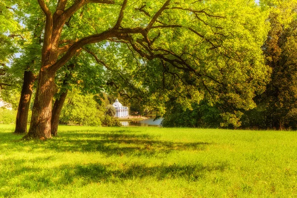 View of park in Pushkin in summer day — Stock Photo, Image