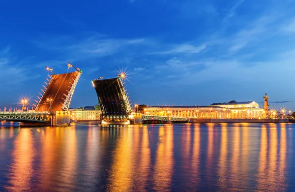 Ponte do palácio em São Petersburgo desenhada à noite — Fotografia de Stock