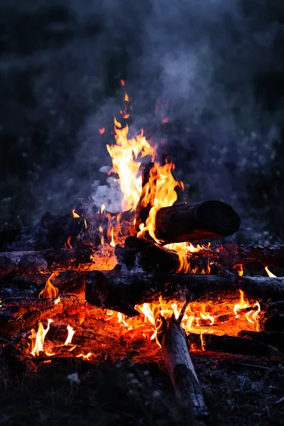 夜晚的篝火 — 图库照片