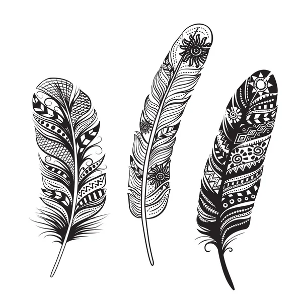 Des plumes d'oiseaux. Illustration vectorielle . — Image vectorielle