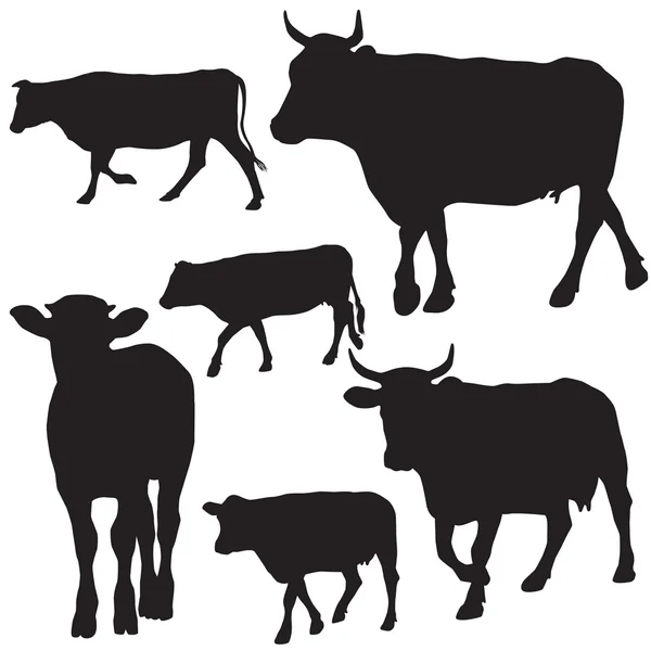 牛设置绘图与花卉装饰 — 图库矢量图片