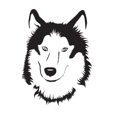 Siberian dış yapraklar. Hisse senedi vektör çizim.