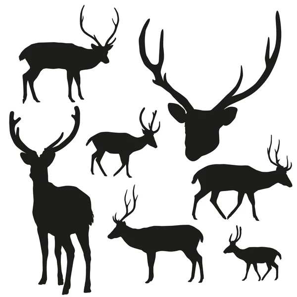 Cervos silhueta no fundo branco —  Vetores de Stock