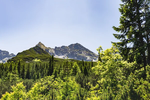 鼓舞人心的山景观观、 上塔特拉山的夏天 — 图库照片