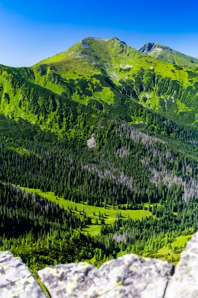 Inspirant Montagnes Vue Paysage, journée ensoleillée en été Tatras — Photo