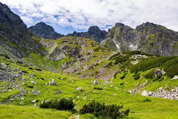 Inspirante vista del paisaje de las montañas de Tatra, día soleado de verano — Foto de Stock
