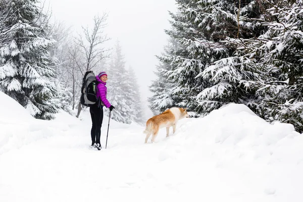 Szczęśliwa kobieta spaceru w lesie zimą z psem — Zdjęcie stockowe