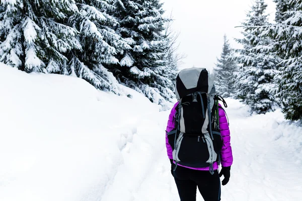 Vrouw wandelen in winter woods met rugzak — Stockfoto