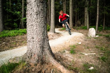 Dağ bisikletçinin yaz ormanda bisiklet sürme