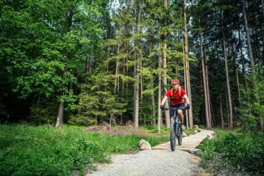 Dağ bisikletçinin Bisiklet Binme yeşil orman